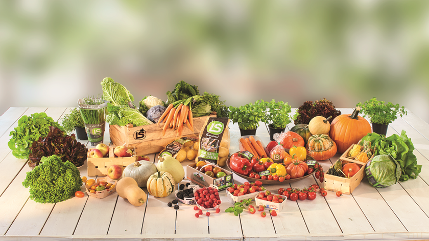 Wholesale Food Ingredients Germany