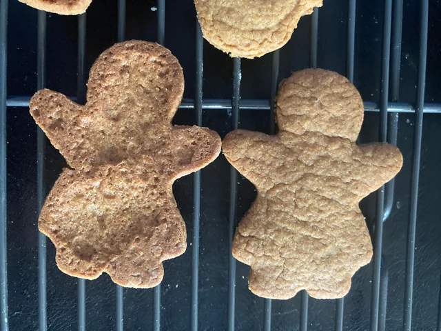 Common Biscuit Baking Defects and Solutions