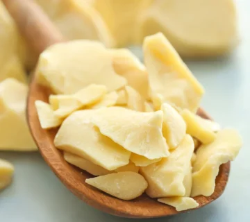 Cocoa Butter Alternatives in Chocolate Recipes