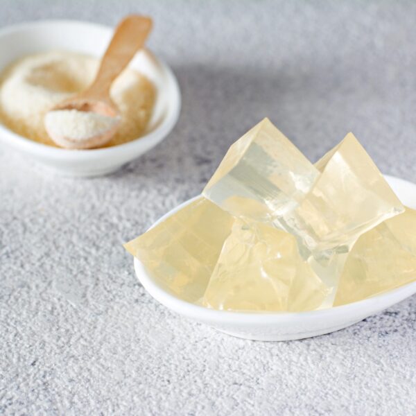 Agar Agar Supplier Libya