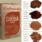 Alkalized Cocoa Powder Supplier in Iraq