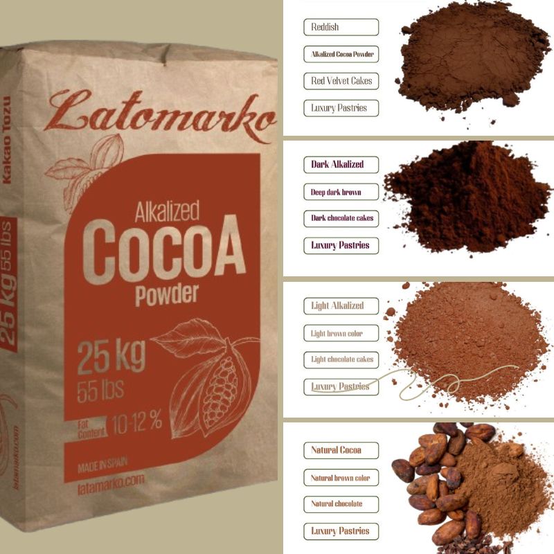 Alkalized Cocoa Powder Supplier in Iraq