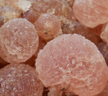 Confectionery Stabilizers Libya