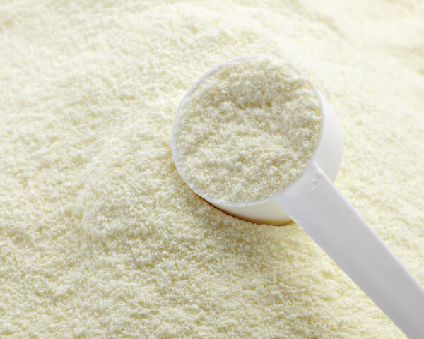 Skimmed Milk Powder Libya Skimmed Milk Powder Libya