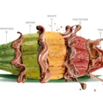 Ingredient List for Functional Chocolate Products