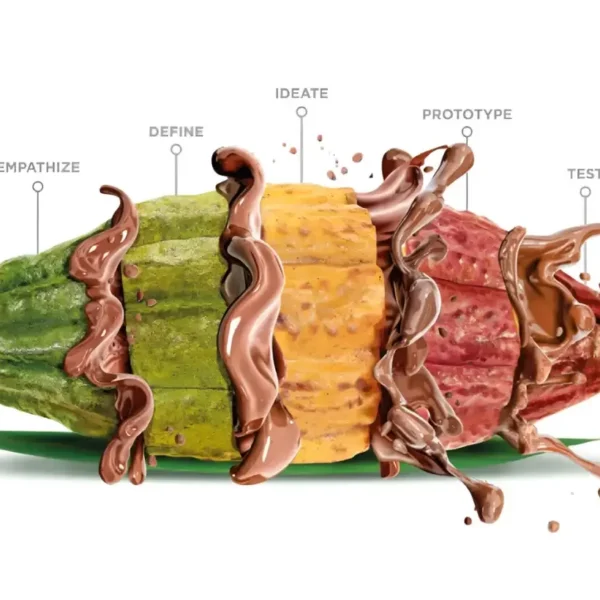 Ingredient List for Functional Chocolate Products
