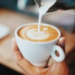 Best Brazilian Coffee for Commercial Roasting
