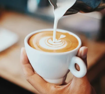 Best Brazilian Coffee for Commercial Roasting