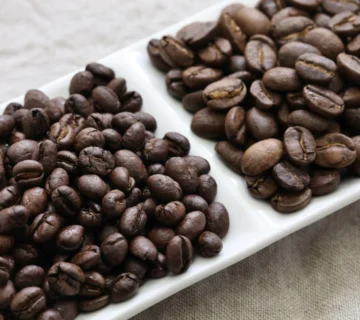 Brazil Cerrado Coffee Beans for Espresso