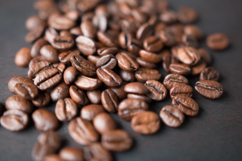 Brazil Fazenda Coffee for Specialty Roasters