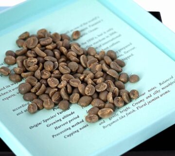 Brazil Fazenda Coffee for Specialty Roasters