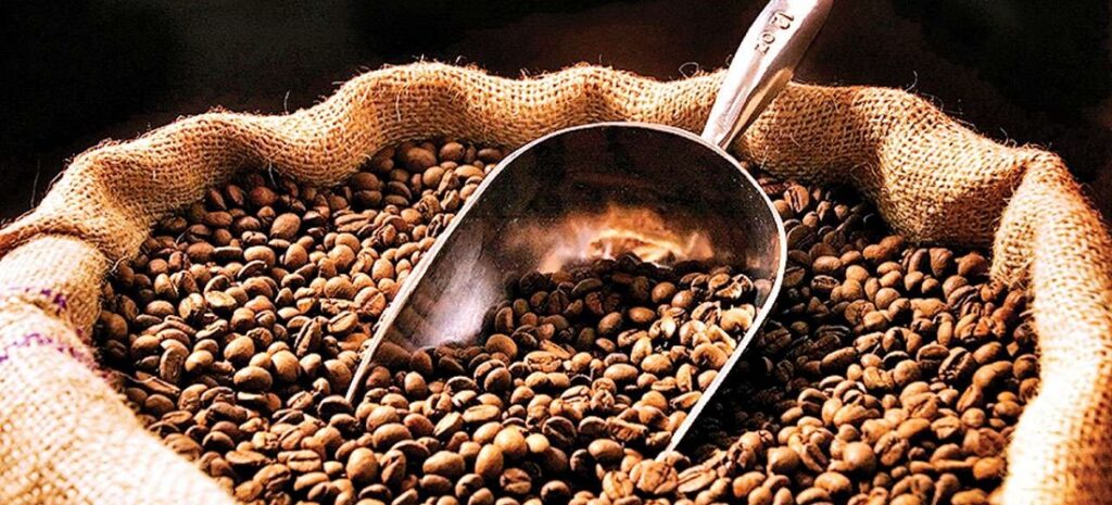 Coffee Bean Export from Brazil to Middle East