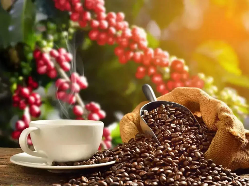 Coffee Bean Export from Brazil to Middle East