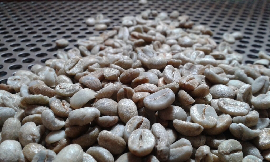 Moisture Standards in Brazilian Green Coffee