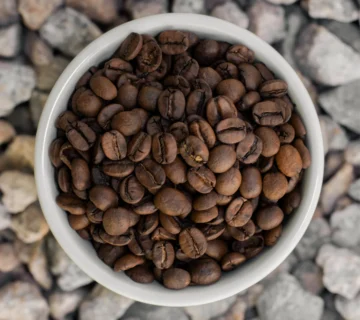 Santos vs Cerrado Coffee Comparison