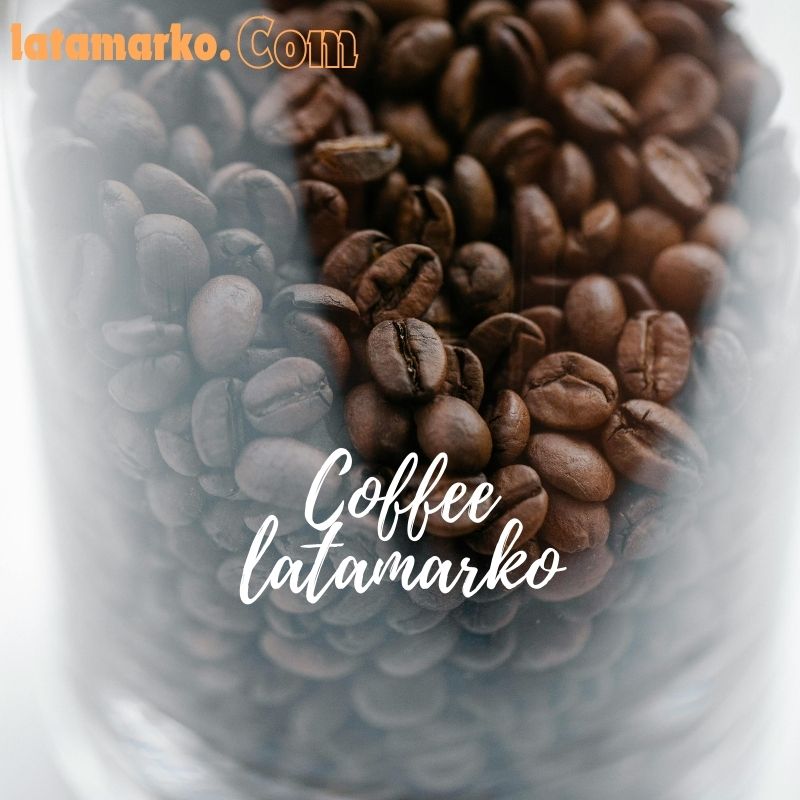Brazilian Arabica Coffee Bean