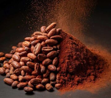 Cocoa Powder in Fat-Based vs Water-Based Systems