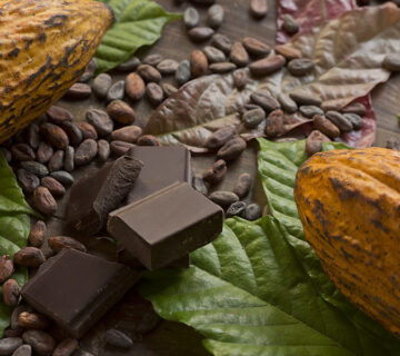 Traceability in Cocoa Processing Industry