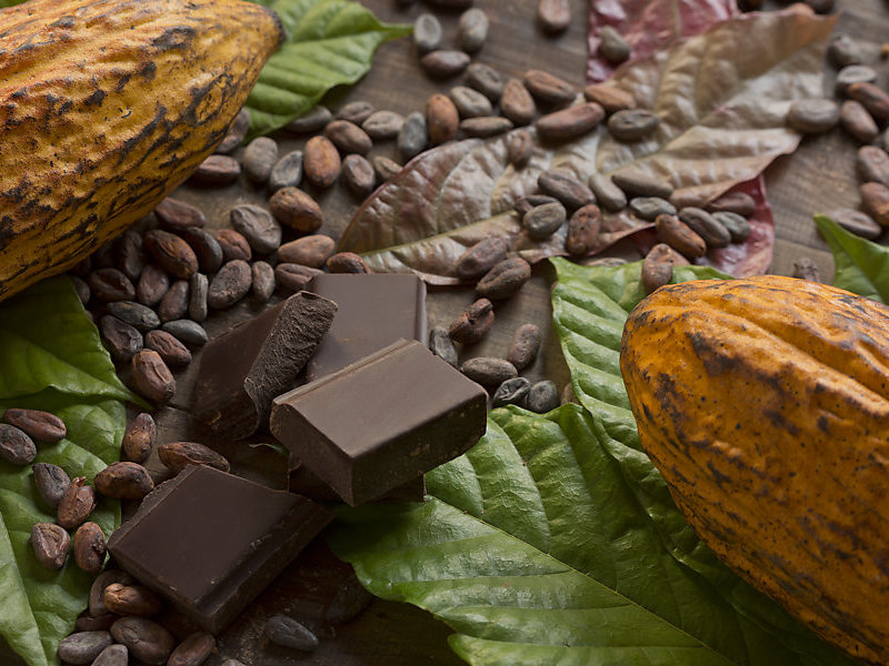 Traceability in Cocoa Processing Industry