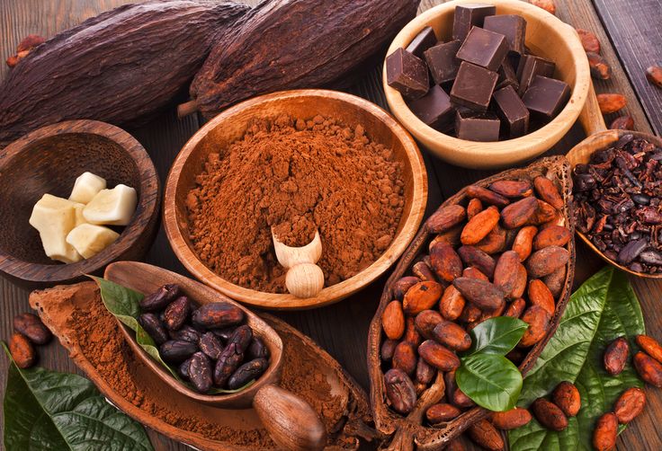 Alkalized Cocoa Powder Supplier in Egypt