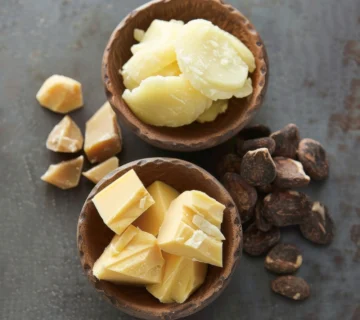 Cocoa Butter Supplier in Somalia | Latamarko Spain