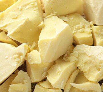 Cocoa Butter Supplier in Sudan