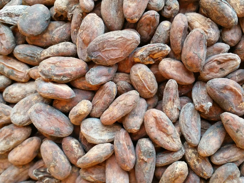 Cocoa Liquor Supplier in Palestine