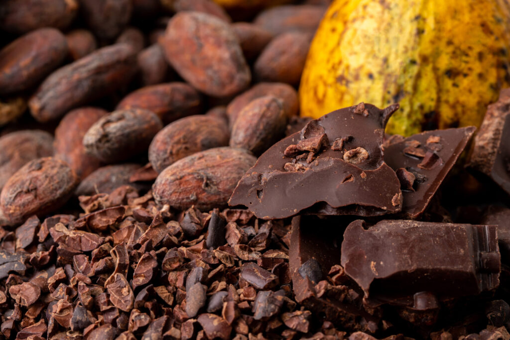 Cocoa Liquor Supplier in Saudi Arabia