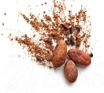 Cocoa Liquor Supplier in Yemen