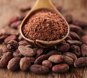 How Cocoa Powder Is Manufactured in Modern Industrial Facilities