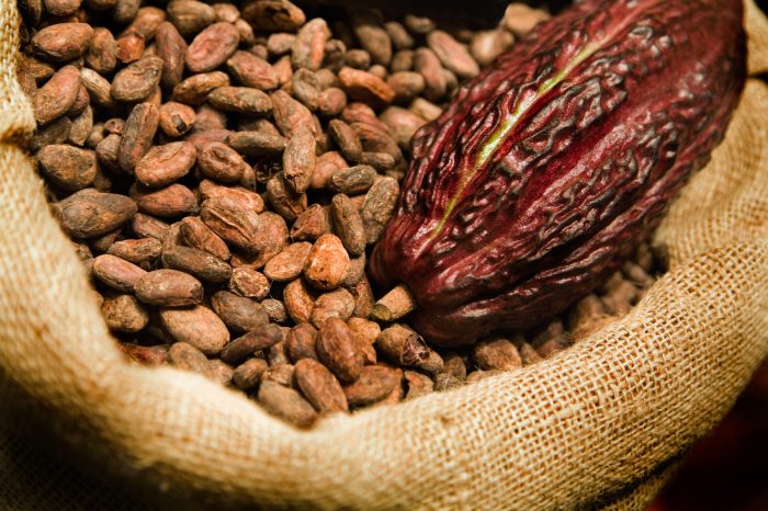 Traceability in Cocoa Processing Industry