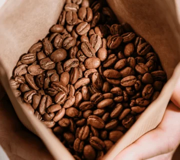 High Altitude Coffee from Uganda