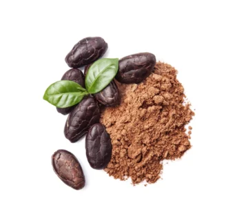 Natural Cocoa Powder Supplier in Palestine