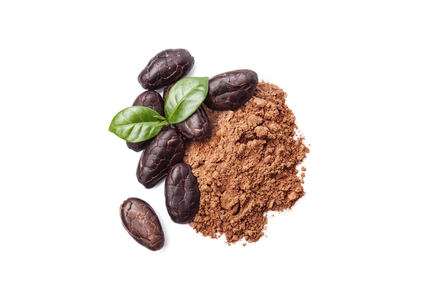 Natural Cocoa Powder Supplier in Palestine