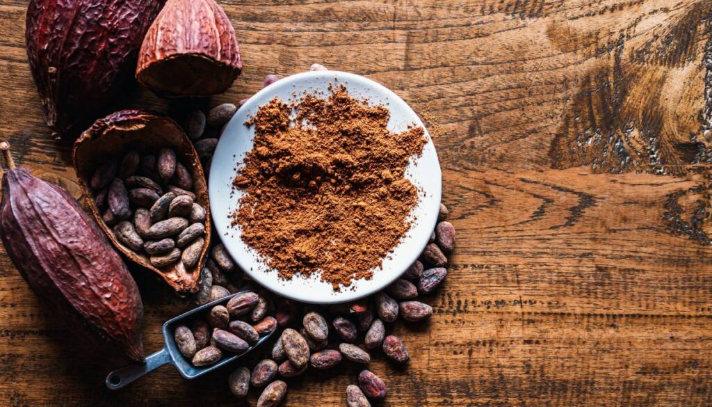 Natural Cocoa Powder Supplier in United Arab Emirates