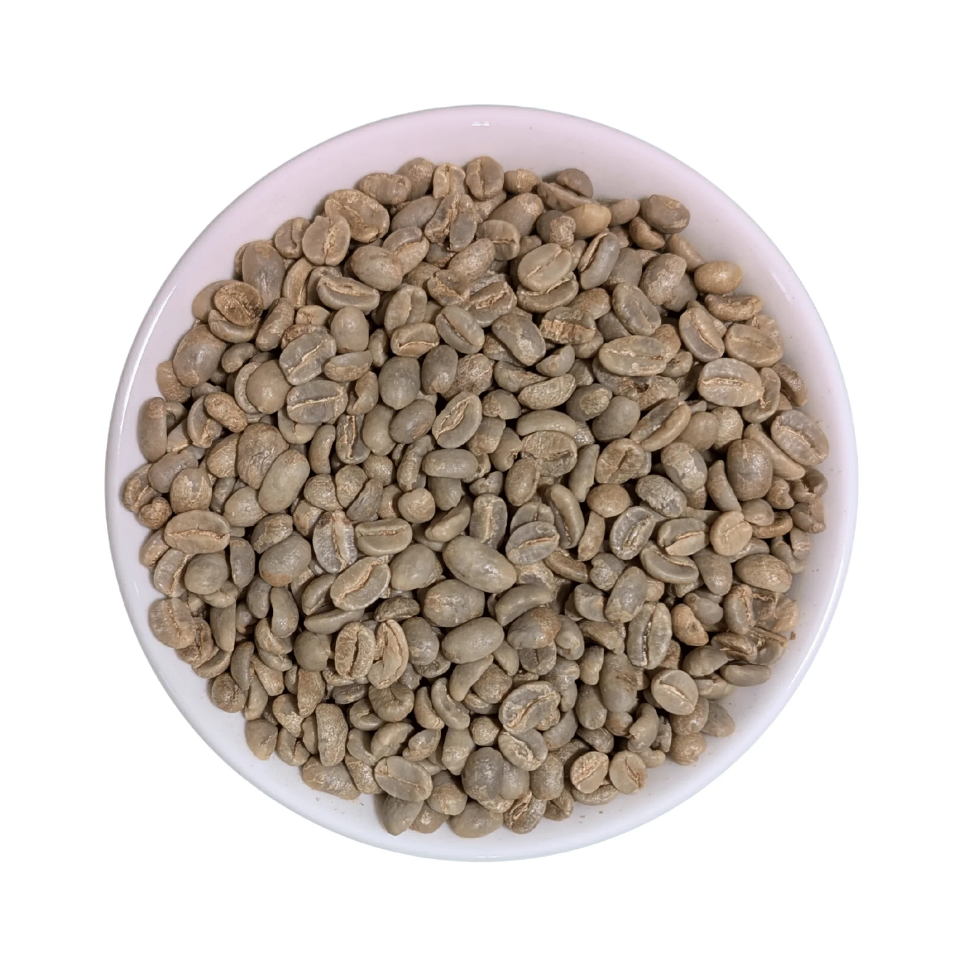 Uganda Bugisu Coffee for Coffee Shops