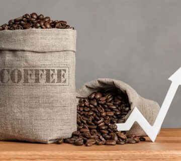 Uganda Coffee Bean Export Standards