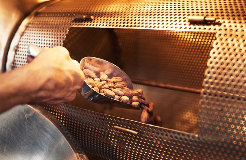 Quality Control in Cocoa Powder Manufacturing