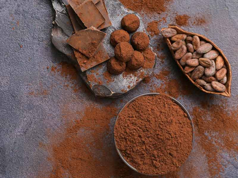 Microbiology Standards in Cocoa Powder Production