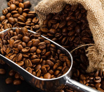 Washed Uganda Arabica Coffee Beans