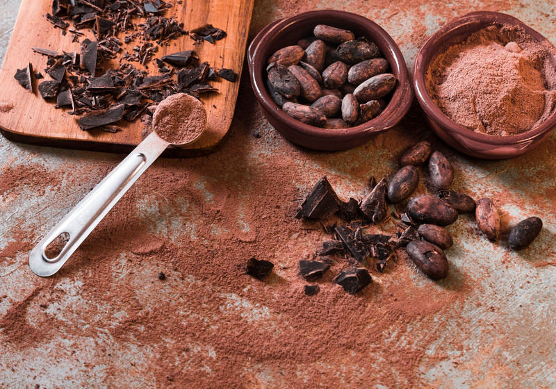 Effects of Alkalization on Cocoa Polyphenols