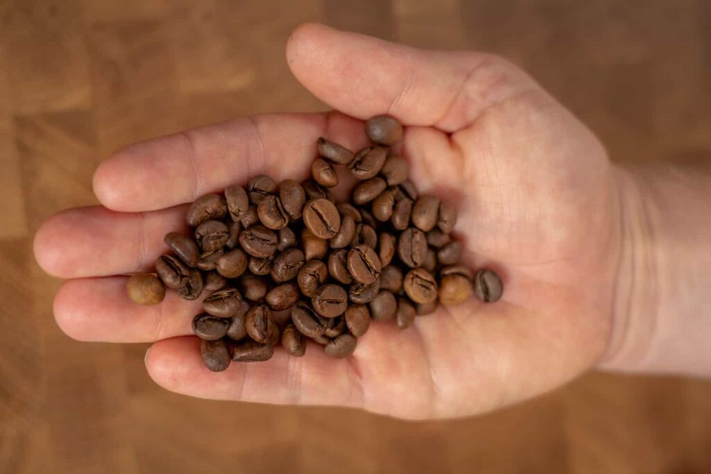 Why Specialty Roasters Choose Uganda Bugisu