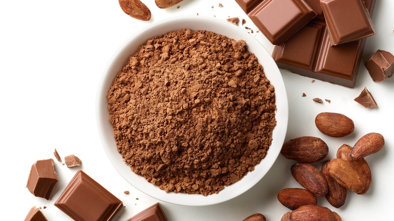 From Cocoa Beans to Cocoa Powder