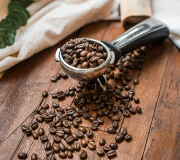 Why Specialty Roasters Choose Uganda Bugisu