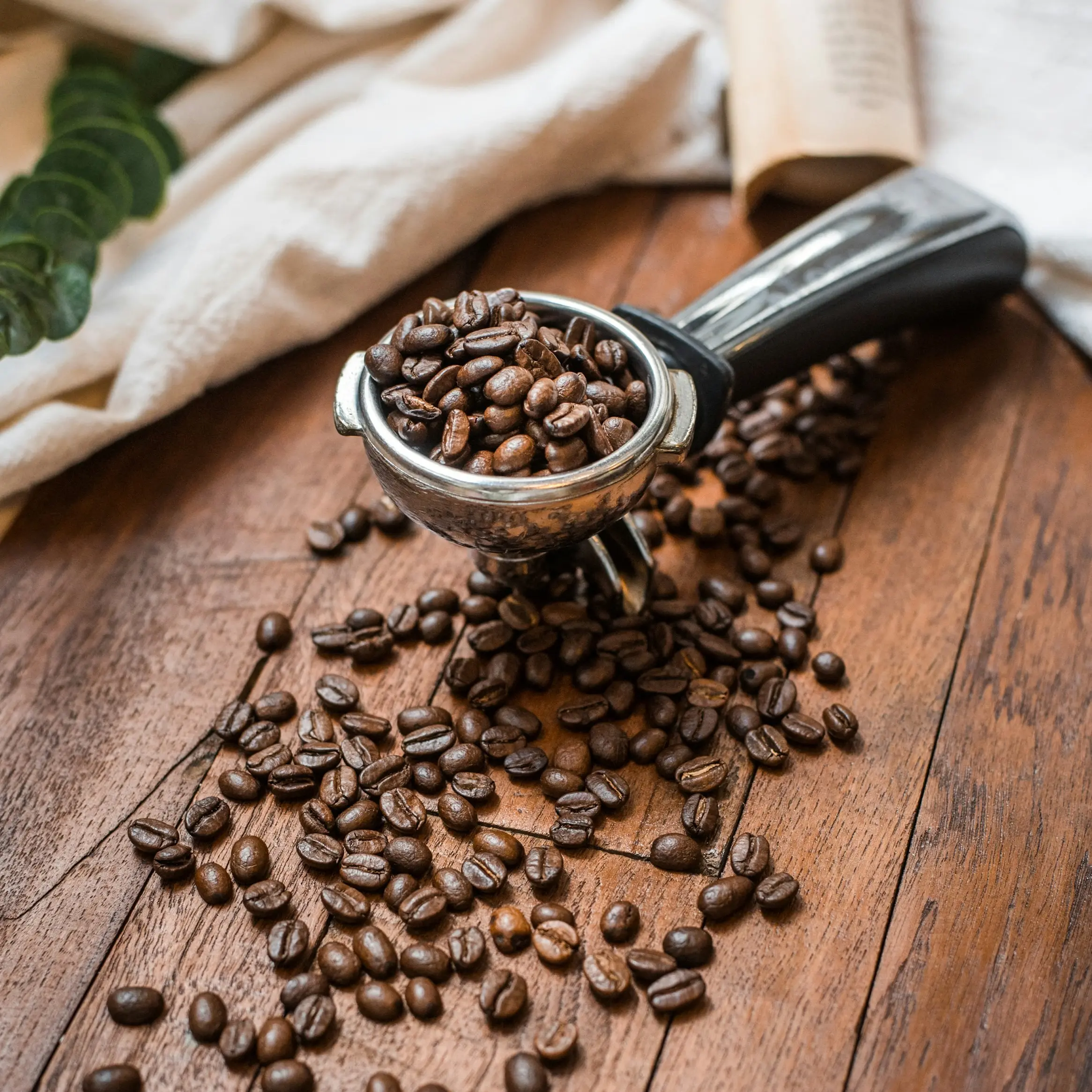 Why Specialty Roasters Choose Uganda Bugisu