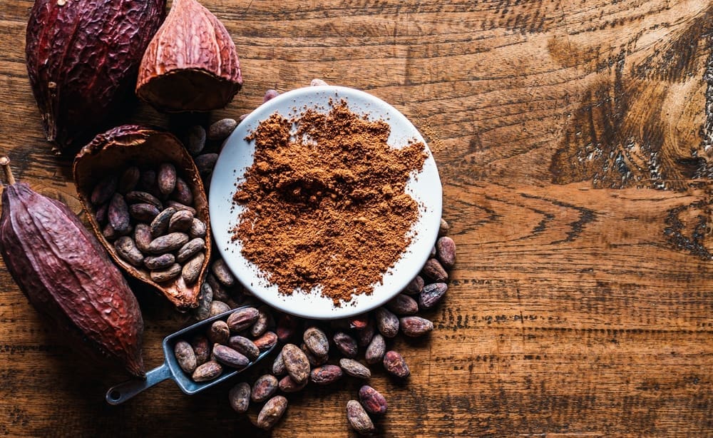 The Role of Fat Content (10–12%) in Industrial Cocoa Applications