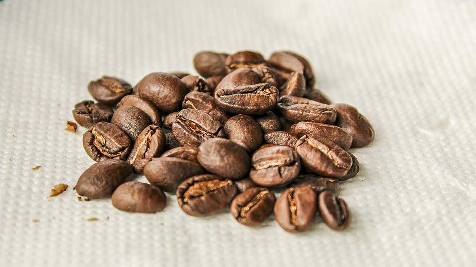 Why Specialty Roasters Choose Uganda Bugisu