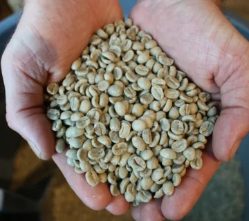 Green Coffee Prices & Buying Guide