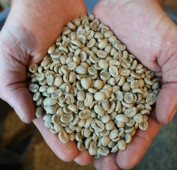 Green Coffee Prices & Buying Guide Green Coffee Prices & Buying Guide