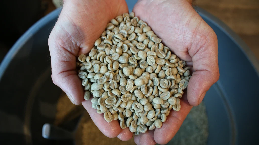 Green Coffee Prices & Buying Guide